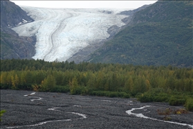 Exit Glacier